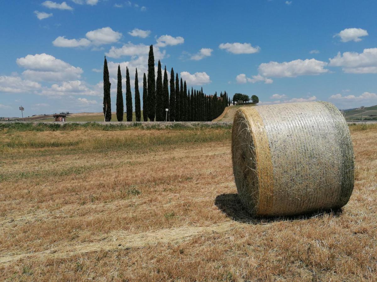 Agriturismo La Poderina Баньо-Виньони Экстерьер фото