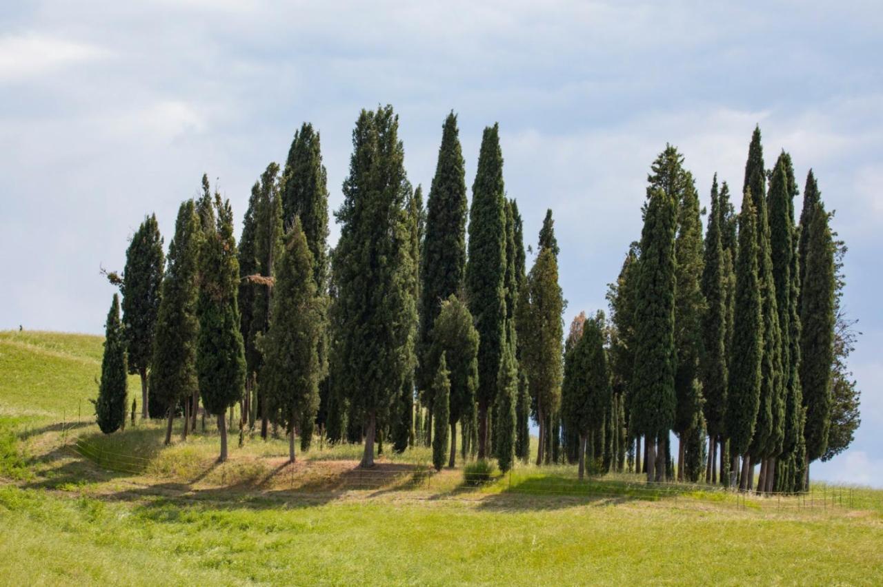 Agriturismo La Poderina Баньо-Виньони Экстерьер фото