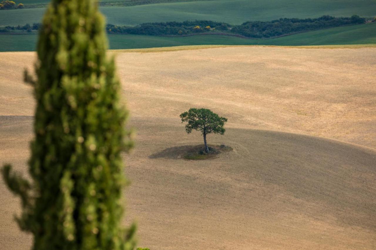 Agriturismo La Poderina Баньо-Виньони Экстерьер фото