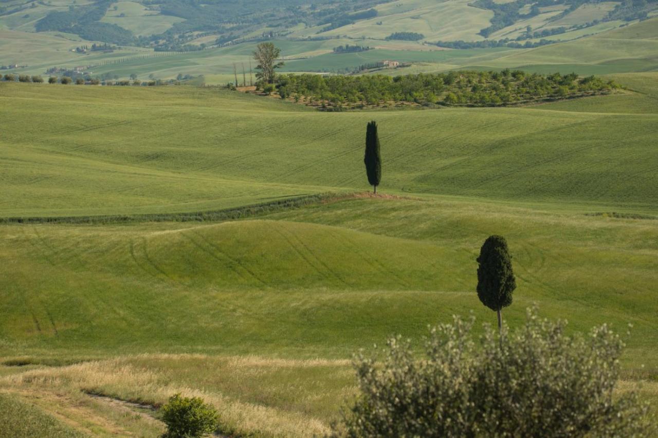 Agriturismo La Poderina Баньо-Виньони Экстерьер фото